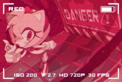 amy rose from sonic (series)