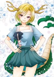 kicchou yachie from touhou
