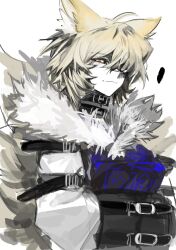 yakumo ran from koumajou densetsu