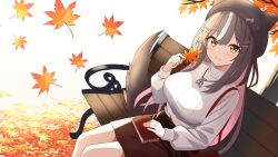 chisaka airi from phase connect