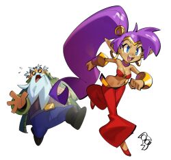 shantae fan art
