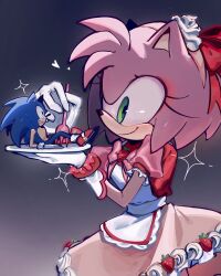 amy rose from sonic (series)