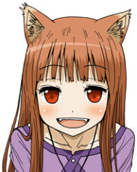 holo from spice and wolf by maso (ascii art)