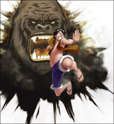 monkey d. luffy from one piece