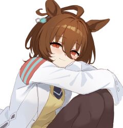 agnes tachyon (umamusume) from umamusume