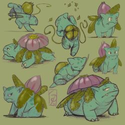 bulbasaur from pokemon