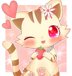 sango (jewelpet) from jewelpet (series)