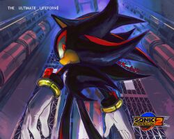 shadow the hedgehog from sonic (series) by kornart