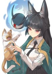 hoshimi miyabi from blue archive by panvyru