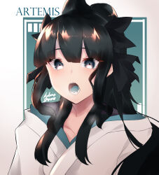 artemis of the blue from atelier live