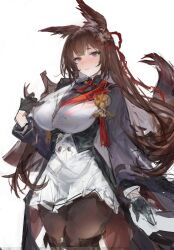 amagi (aircraft carrier) (azur lane) from azur lane