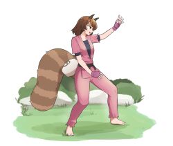 futatsuiwa mamizou from street fighter