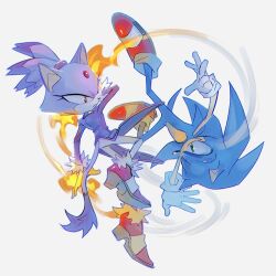 blaze the cat from sonic (series)
