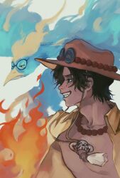 marco (one piece) from one piece