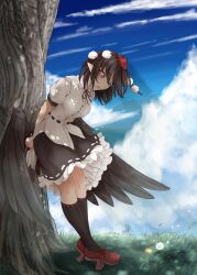 shameimaru aya from touhou by kagami toufu