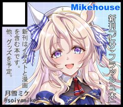 umamusume fan art
