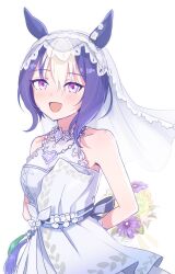 cesario (umamusume) from umamusume by ponpochi