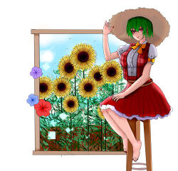 kazami yuuka from touhou