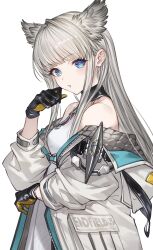 perlica (arknights) fan art
