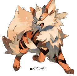 arcanine from pokemon