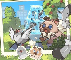 pidove from pokemon