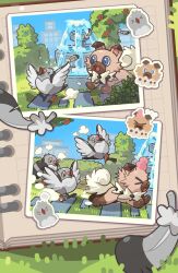 pidove from pokemon