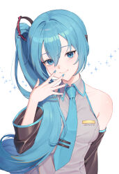 hatsune miku from vocaloid