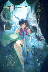 columbina (genshin impact) from genshin impact