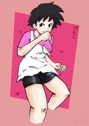 videl from dragon ball