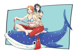 nami (one piece) from one piece
