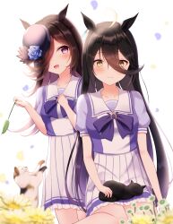 manhattan cafe (umamusume) from umamusume
