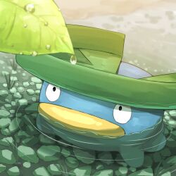 lotad from pokemon by spicyichizo