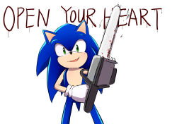 sonic the hedgehog from sonic (series)