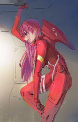 zero two (darling in the franxx) from darling in the franxx