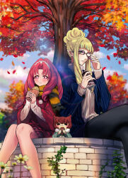 akagi towa from go! princess precure