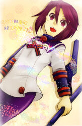 toris from summon night by emi (wild usagi)