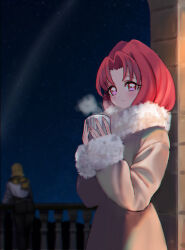 akagi towa from go! princess precure
