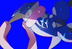 greninja from pokemon