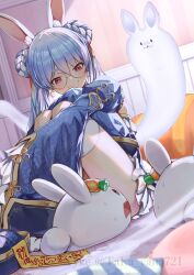 don-chan (usada pekora) from hololive