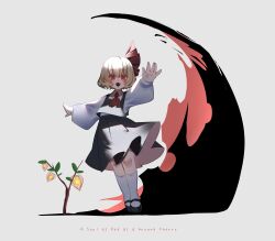 rumia from touhou