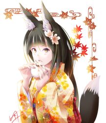 tenka hyakken fan art