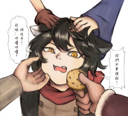 izutsumi from dungeon meshi