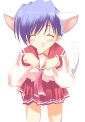 himeyuri sango from to heart (series) by kisaki yuu