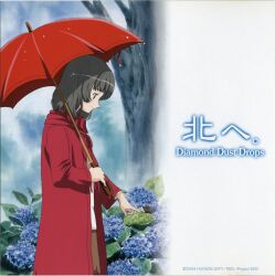 harada akari from hudson