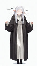 fern (sousou no frieren) from sousou no frieren