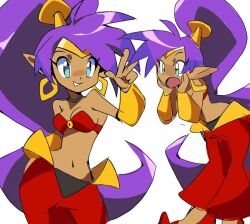 shantae fan art