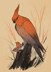 fletchling from pokemon