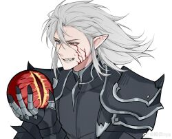 elezen fan art