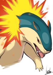 typhlosion from pokemon
