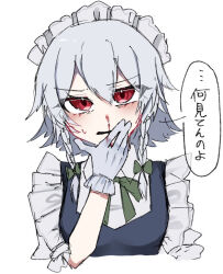 izayoi sakuya from touhou
